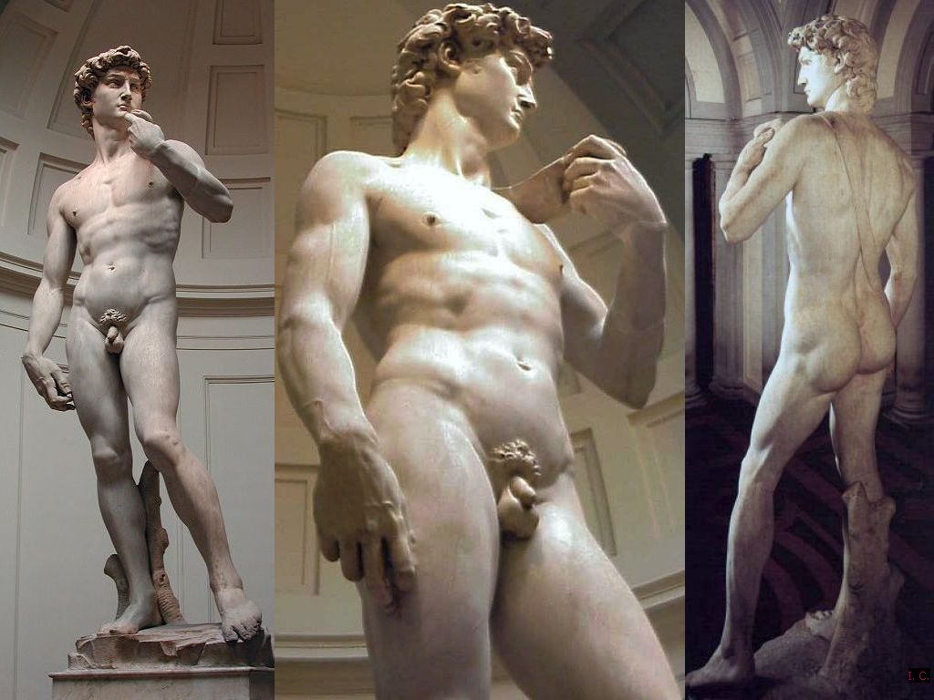 Michelangelos david penis particular florence italy stock photo